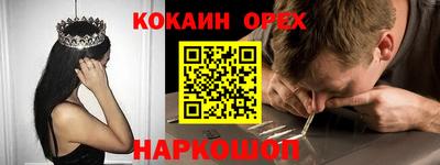 гашик Кинель