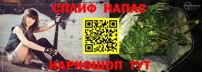 гашик Кинель