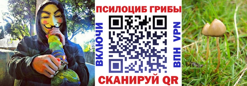 дарк нет наркотические препараты  Можайск  Галлюциногенные грибы Magic Shrooms 