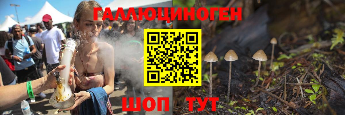 Псилоцибиновые грибы GOLDEN TEACHER  наркотики  Можайск  Вход с VPN 
